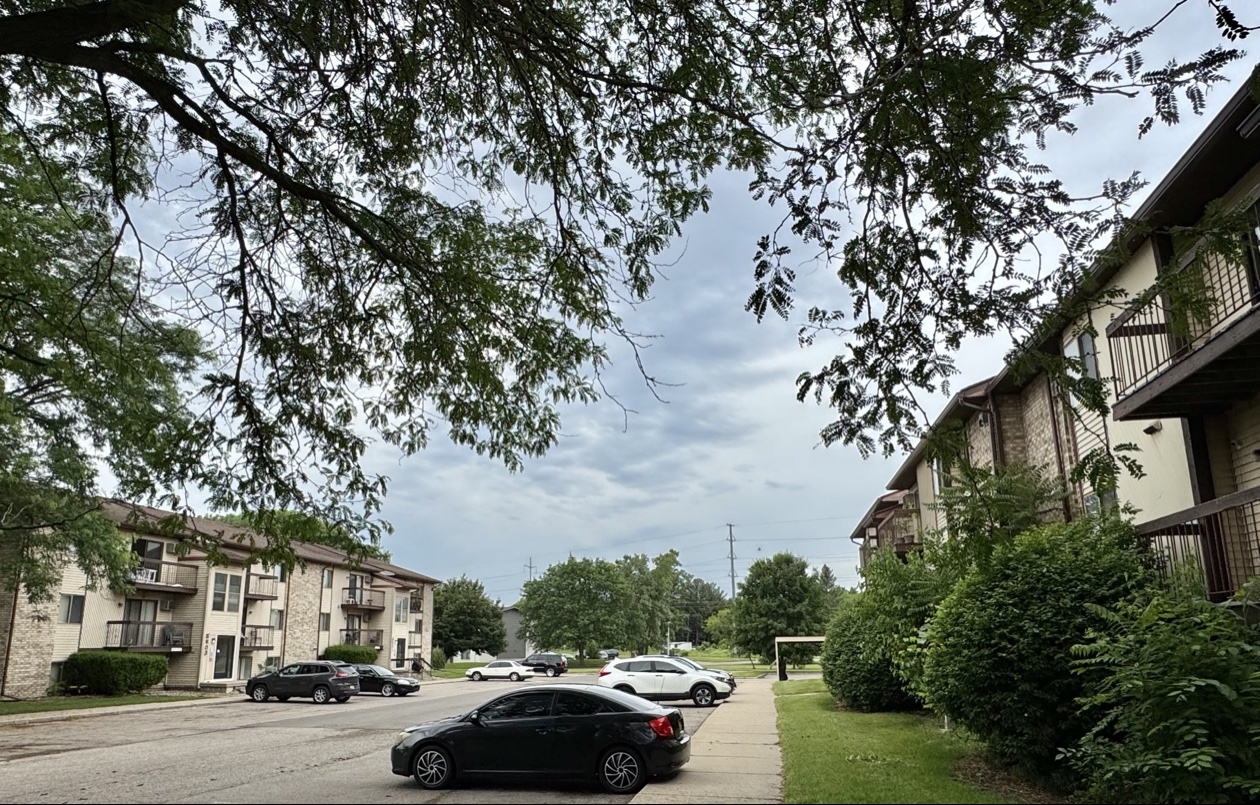 Tree-lined street between Kaynorth buildings with sidewalks, lawns, and resident parking