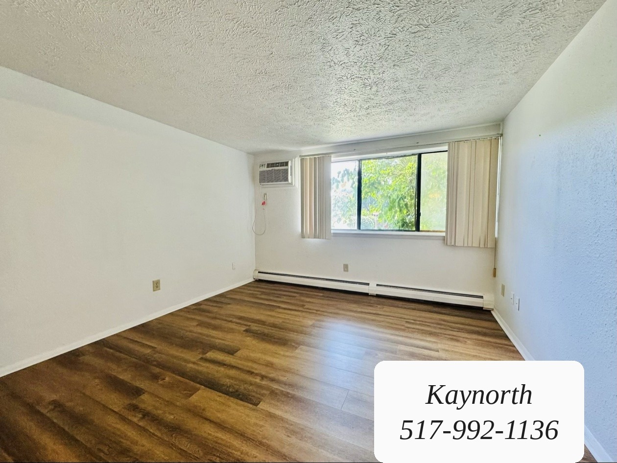 Bright living room in a Kaynorth one-bedroom apartment, with wood-look floors and a large window